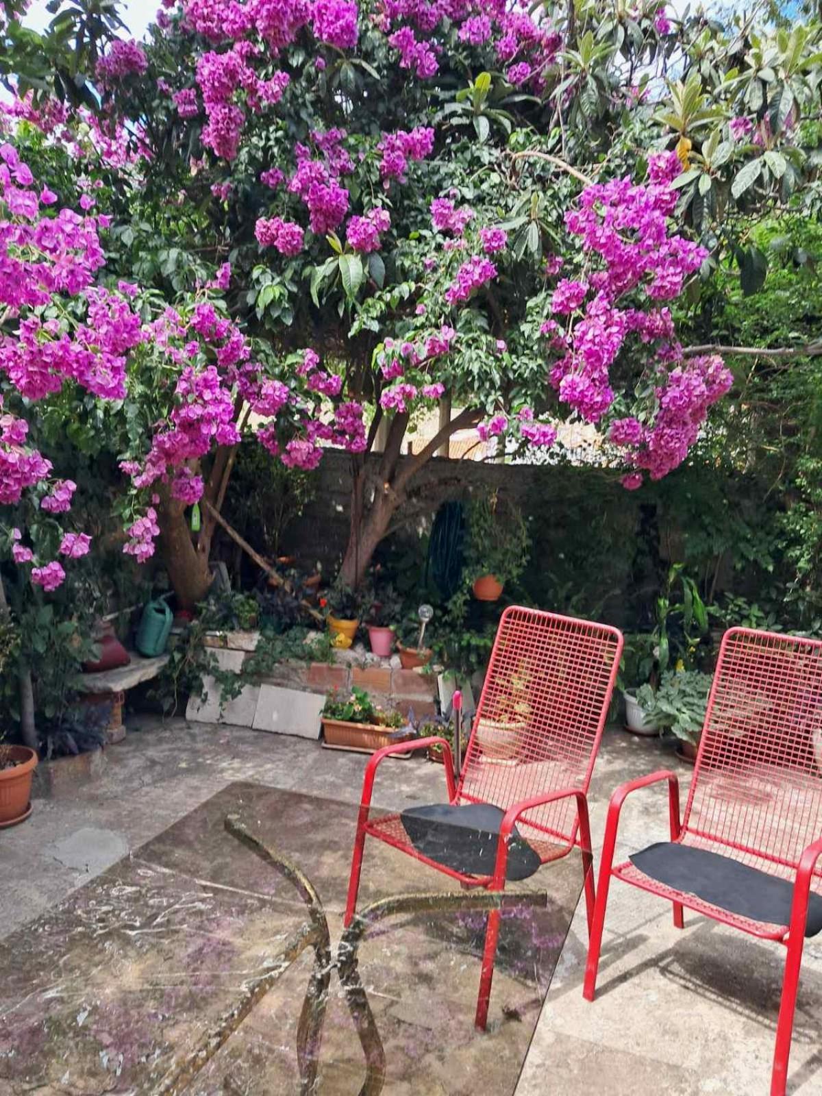 Old Town Green Oasis House Dubrovnik Exterior photo